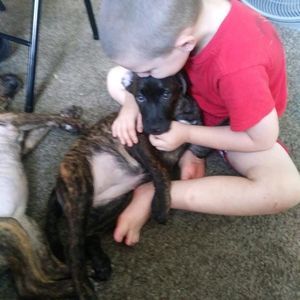 Meet your Posher, Virginia